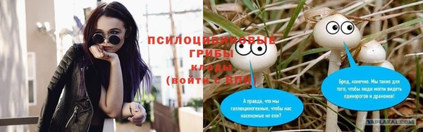 шишки Каменка