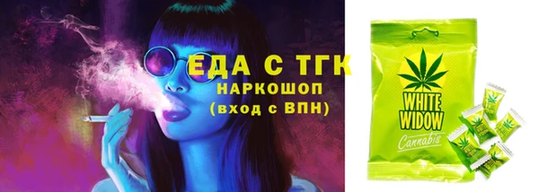 шишки Каменка