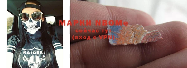 шишки Каменка