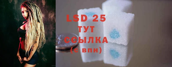 шишки Каменка