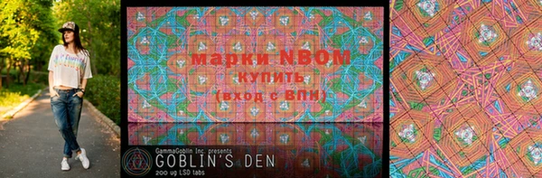 шишки Каменка