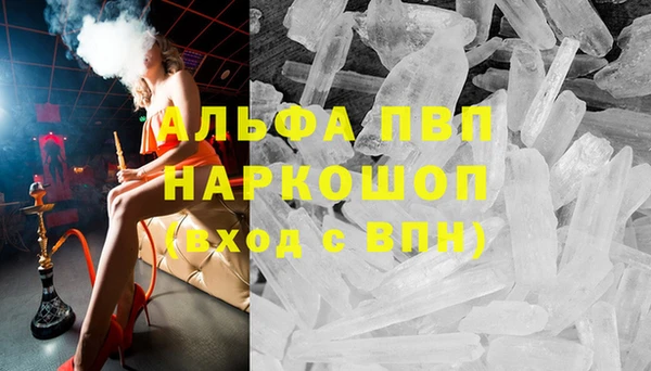 шишки Каменка