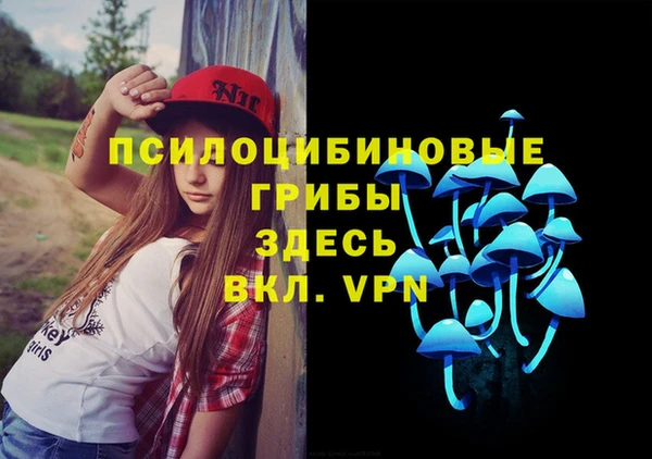 MDMA Каменногорск