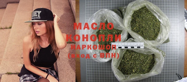 шишки Каменка