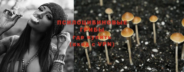 шишки Каменка